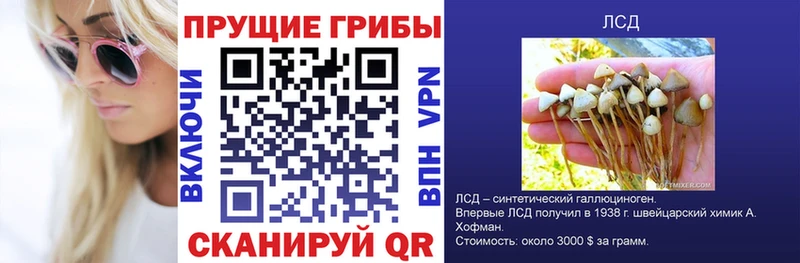 Купить  Мытищи  Галлюциногенные грибы Magic Shrooms 